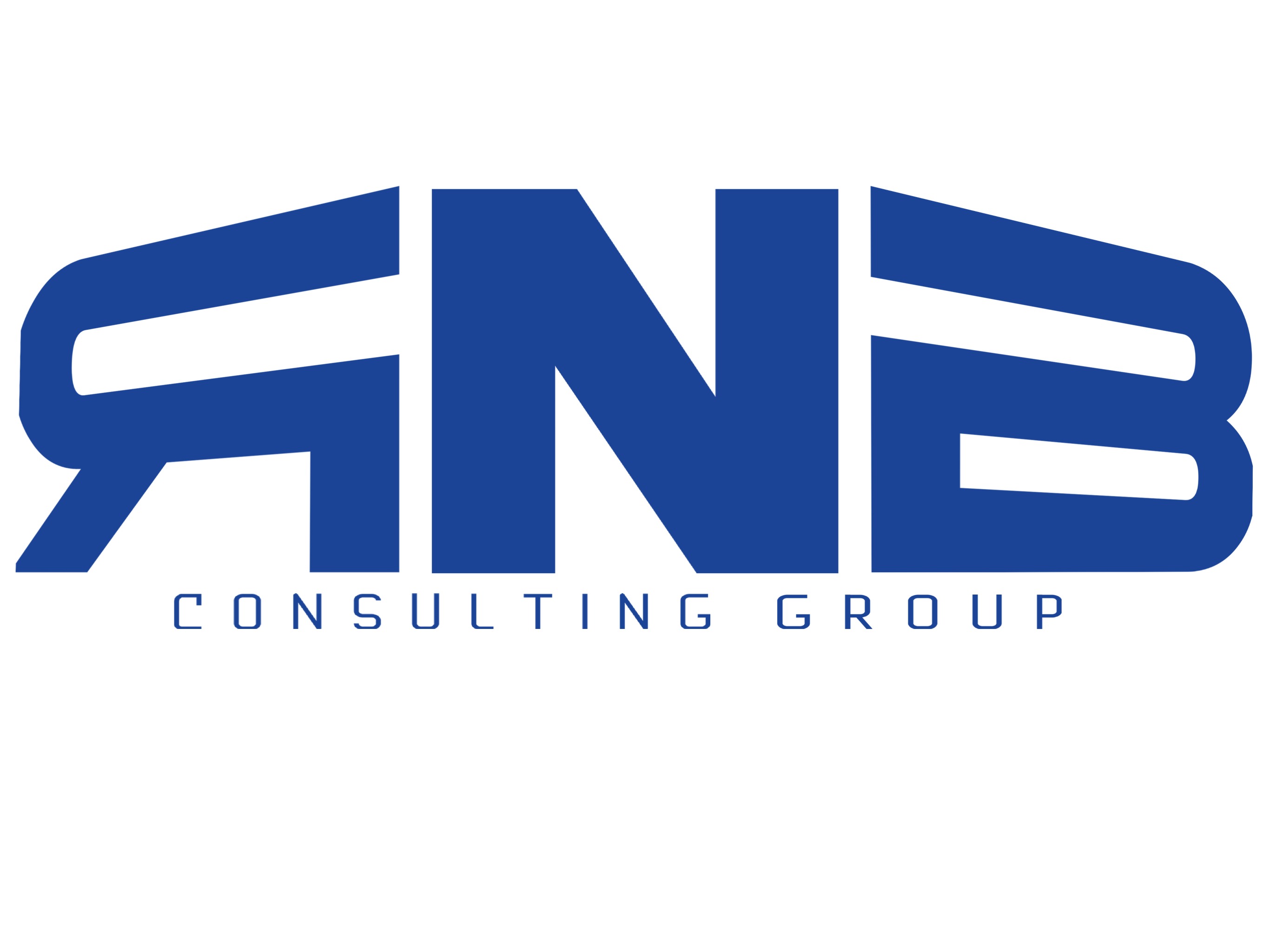 RNB Consulting Group Inc.